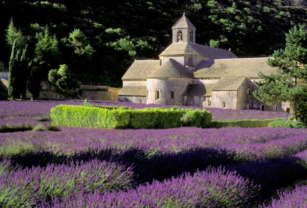 Au Bastidon De Gordes Villa Eksteriør billede